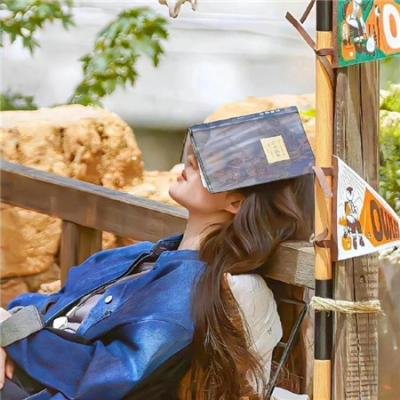 凤婿